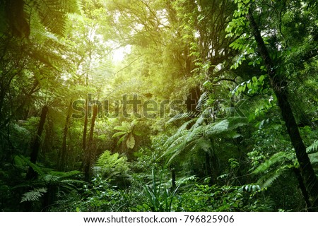 Similar – Image, Stock Photo Lush Tropical Jungle Landscape in Jungle, São Tomé