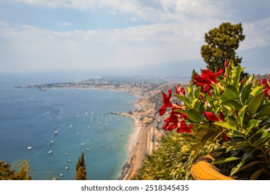 Lush green foliage and vibrant red flowers are the primary focus, set against an expansive view of the beach, ocean, and distant town under the open blue sky. - Powered by Shutterstock