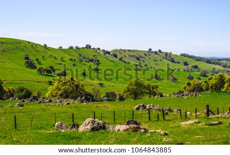 Lush Green Foothills In Sierra Nevada