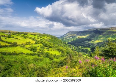 Lush green forest and fields illuminated by sunlight on the hills and valley of Glenariff Forest Park, Antrim, Northern Ireland
