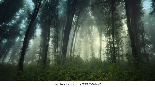 lush green forest panorama landscape - Shutterstock ID 2307508681
