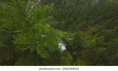 The lush green forest with a waterfall, a mix of sunlight and shadows, and a serene, misty atmosphere. - Powered by Shutterstock