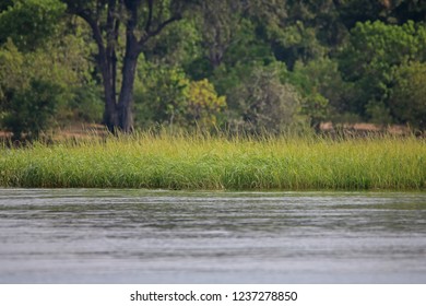 LUSH GREEN GRASS AT THE SIDE OF A FULL RIVER