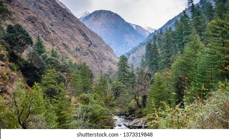 The Lush Green Great Himalayan National Park Is The UNESCO World Heritage Site.