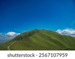 A lush green hill under a vivid blue sky, with a winding path leading to its summit. The view exudes calm and natural beauty.