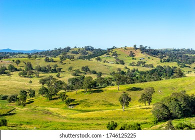 Lush Green Hills Of Bega Region In NSW, Australia, Well Known For Its Cheese