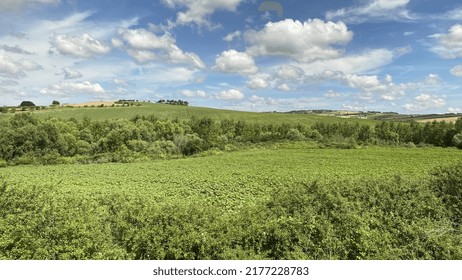 Lush Green Hills Under A Deep Blue Sky