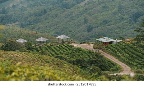 A lush green hillside with a road leading to a small house. The road is surrounded by vineyards and there are several small buildings in the distance. The scene is peaceful and serene - Powered by Shutterstock