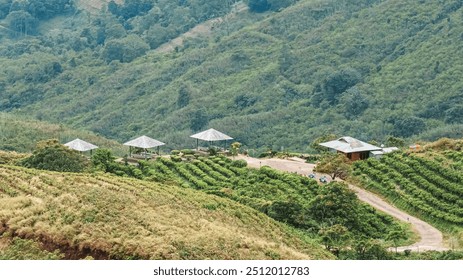 A lush green hillside with a small house and a few tents. The scene is peaceful and serene - Powered by Shutterstock