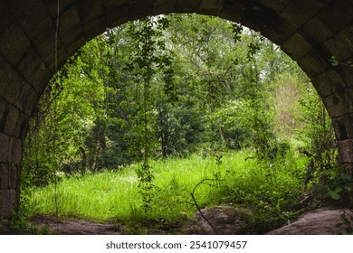 A lush green landscape framed by the stone arch of an ancient bridge, with ivy and vines hanging down, offering a peaceful view into the dense forest beyond - Powered by Shutterstock