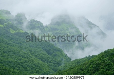 Lush green monsoon nature landscape mountains, hills, fog, clouds, Varandh Ghat, Bhor, Pune, Maharashtra, India, Asia.