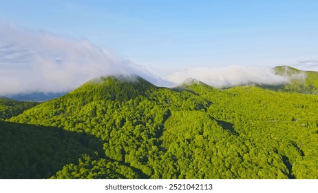 Lush Green Mountain Landscape with Fog. Aerial view of a lush green mountain range covered in dense forest with patches of mist and fog rolling over the peaks. - Powered by Shutterstock