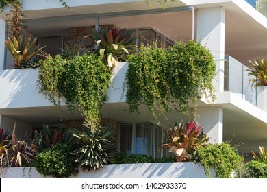 Lush green plants growing on white building. Urban garden, green space sustainable living - Shutterstock ID 1402933370