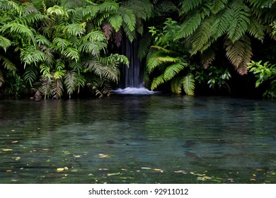 Lush, green rainforest and waterfall in the New Zealand forest