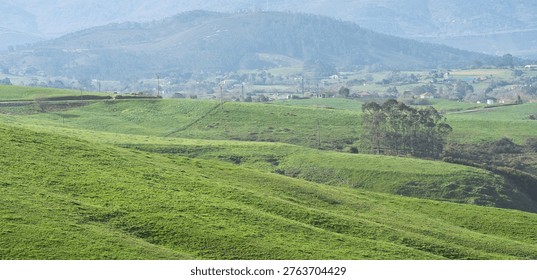 Lush green rolling fields stretch across a quiet rural landscape with scattered homes, trees, and soft hazy hills in the background.