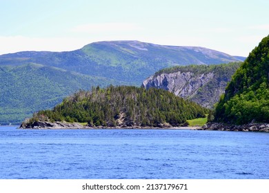 Lush Green Scenery Along Bonne Bay During Summer