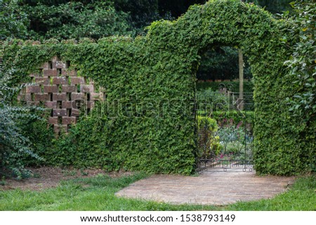 Similar – Image, Stock Photo Secret garden Calm