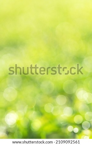 Lush green spring season bokeh background and copy space, selective focus