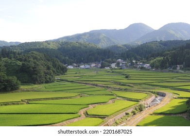 Lush green terrace rice paddies and fields in Akita prefecture, Tohoku region, northern Japan, Asia - Shutterstock ID 2201687025