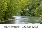Lush green trees by the Cuyahoga riverside at Cuyahoga valley national park, Ohio