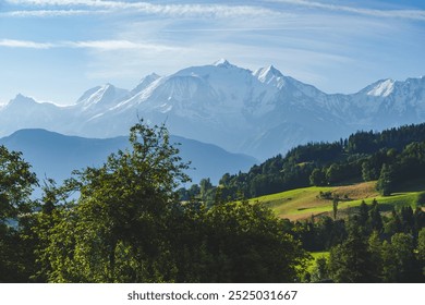 Lush green trees are framing a view of the mont blanc mountain range towering over the french countryside on a sunny summer day - Powered by Shutterstock