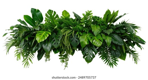 Lush green tropical plants bush (monstera, palm, rubber plant, pine and fern) floral arrangement isolated on white