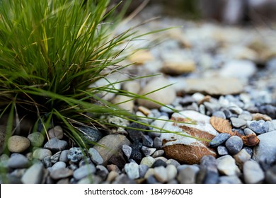 685 Puna grass Images, Stock Photos & Vectors | Shutterstock