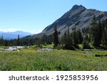 A lush green valley with a meandering stream in Beaverhead-Deerlodge National Forest, just outside of Yellowstone National Park.