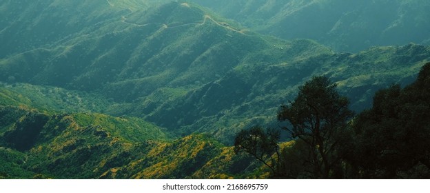 A lush green valley in Saudi Arabia.  - Powered by Shutterstock