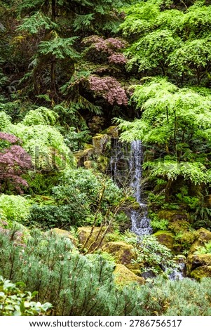 Lush greenery frames a gentle waterfall cascading over mossy stones. Pink flowering shrubs add soft color to the forested scene. The stream's quiet flow suggests calm and serenity.