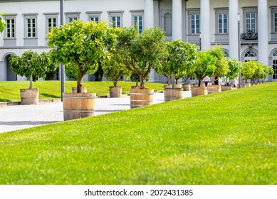 Lush lawn in the park in front of a beautiful historic palace, in the background, tourists walking on a dirt road made of white pebbles.