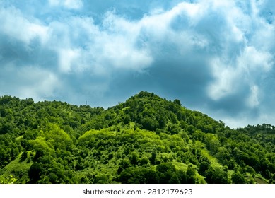 Lush mountain forest under dramatic sky. A dense mountain slope covered in lush green forest trees beneath a cloudy sky. Ideal for nature, environment, and conservation projects.