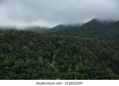 Lush Mountains Honolulu Watershed Forest Reserve Stock Photo 1518523397 ...