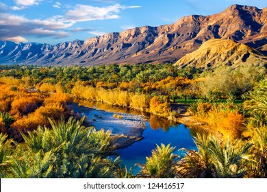 Lush oasis landscape in the Moroccan desert, with date palms and a blue river with reflections.  One of the biggest oases in Morocco. Adventure travel.
