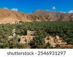 Lush oasis landscape in Oman showcasing traditional architecture amid palm trees and rugged mountains during daylight