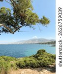 A lush pine tree frames a panoramic view of the Mediterranean Sea with turquoise water, green hills, and a distant coastal town nestled below scenic mountains.