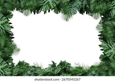 A lush, rectangular frame made of various green tropical leaves, including Monstera and palm, isolated on a clean white background. A natural jungle border for summer-themed designs with copy space