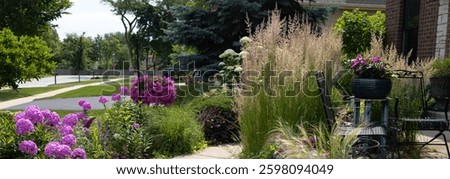Lush row of tall, pink phlox lining a sidewalk, creating a vibrant and inviting display. The delicate, star-shaped blossoms form dense clusters atop sturdy, stems that sway gently in the breeze.