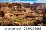 The lush shore of the San Rafael River as it flows through the Little Grand Canyon viewed from The Wedge Viewpoint in Utah, USA