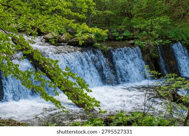 Lush spring forest surrounding a small cascading waterfall and fast stream in the Cartisoara and Valea Sambetei area.