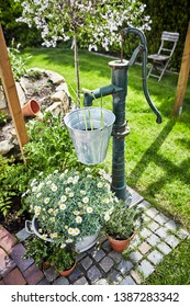 Lush Spring Garden With Ornamental Vintage Water Pump And Galvanised Tub Of White Daisies Below A Hanging Bucket With Golden Sunshine