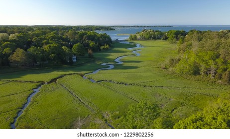 Lush Tidal Marsh, Duxbury, MA