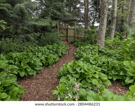 Lush trail winds through dense green vegetation toward a rustic wooden gate, creating an inviting jungle-like pathway beneath towering trees in spring.
