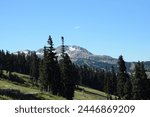 Lush trees along the trails of Whistler Blackcomb during the off-season on a sunny day in Whistler, British Columbia, Canada