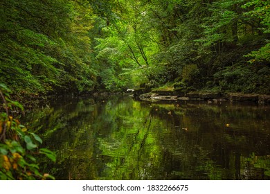 Lush Trees And Mossy Rocks Shade Lowther River, Cumbria UK