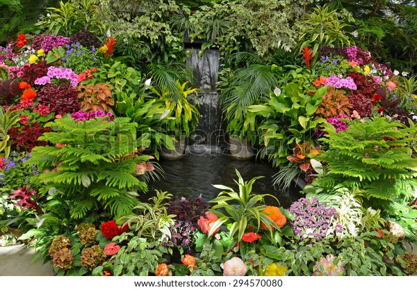 Lush Tropical Garden Assorted Colorful Flowers Stock Photo Edit Now