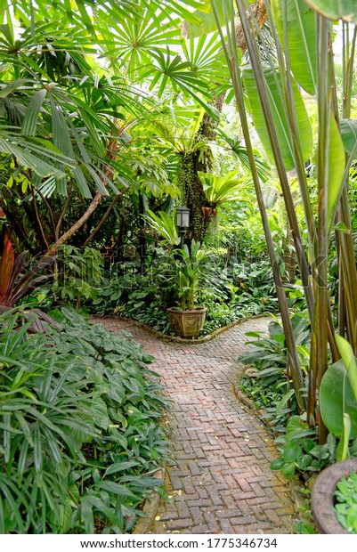 Lush Tropical Garden Surrounds Former Silk Stock Photo 1775346734 ...