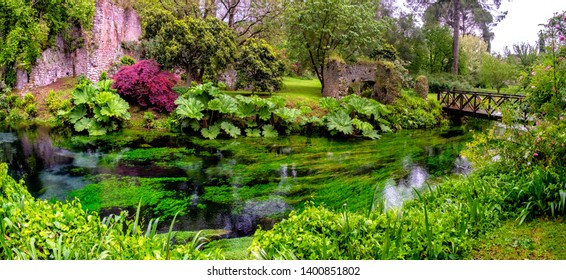 lush vegetetation musk in river water and garden with wooden bridge panoramic .