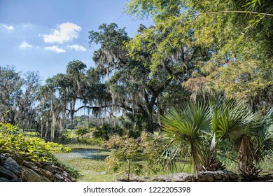 Lush And Verdant Jungle Gardens In Iberia Parish Louisiana