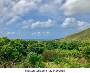 Lush Vibrant Tropical Forest And The Caribbean Sea As Viewed From Boggy Peak In Antigua